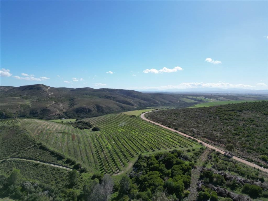 6 Bedroom Property for Sale in Stilbaai Oos Western Cape